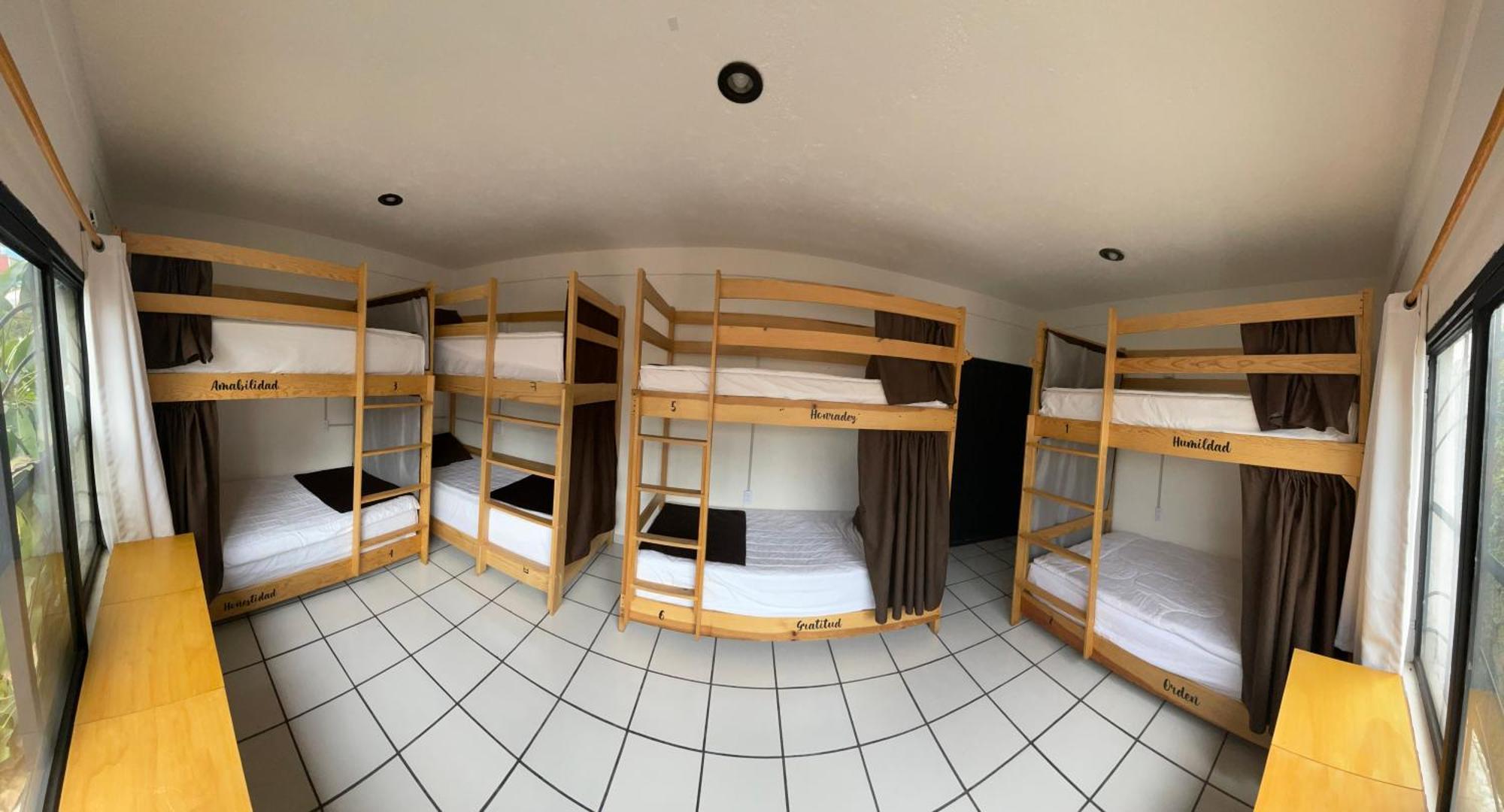 Hostal Roma Condesa Мехико Экстерьер фото
